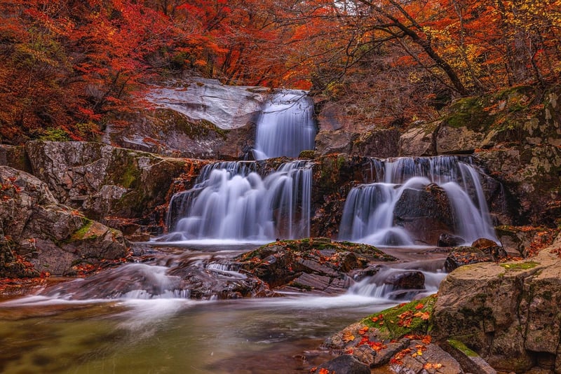 Tranquil Waterfalls